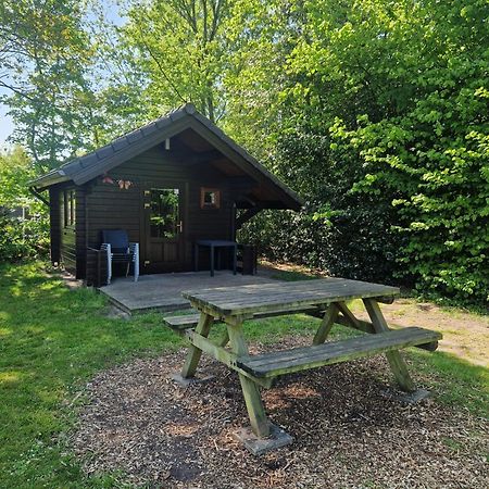 Camping Alkenhaer Appelscha Blokhut Basic Esterno foto