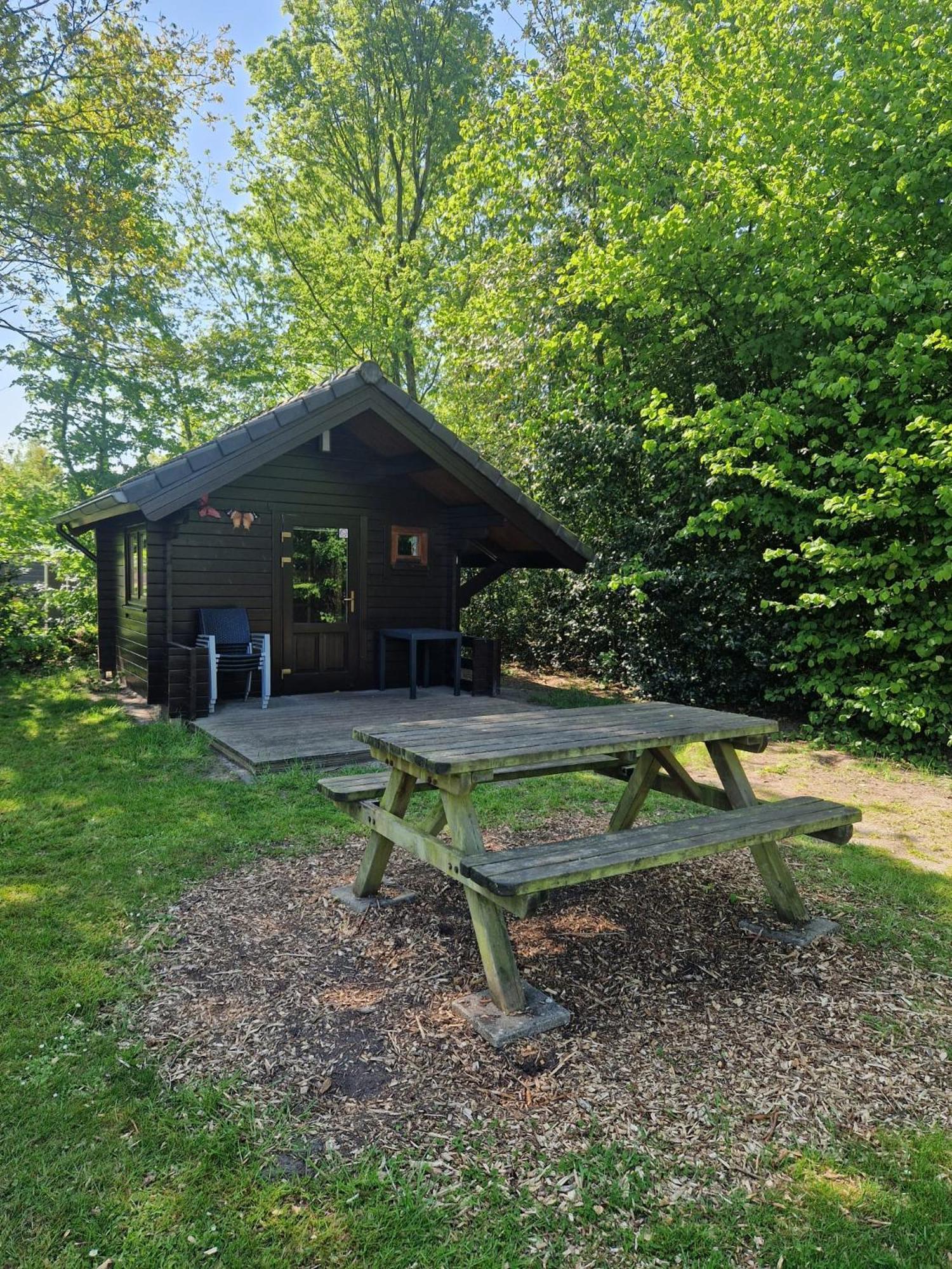 Camping Alkenhaer Appelscha Blokhut Basic Esterno foto